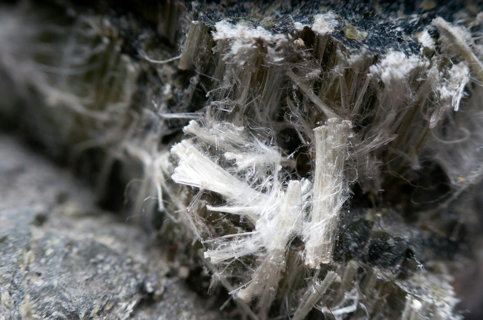 Close-up of asbestos fibers in a material sample